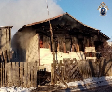 В Дивеевском районе Нижегородской области по факту гибели пенсионерки на пожаре проводится доследственная проверка (Фотографии)
