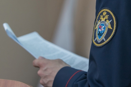 В Борском районе Нижегородской области водитель, обвиняемый в ДТП, в котором погиб ребёнок, заключен под стражу